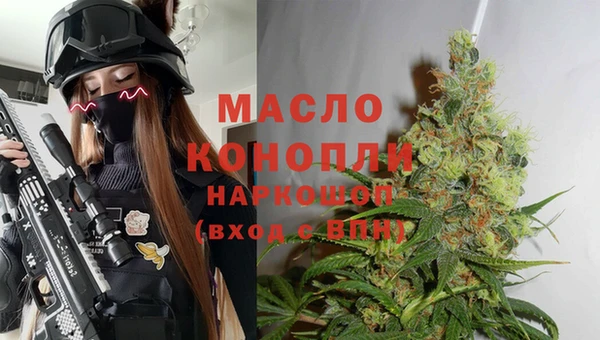 молекула духа Горняк