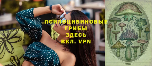 молекула духа Горняк