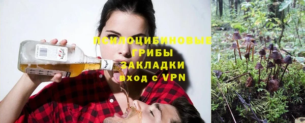 амф Горнозаводск