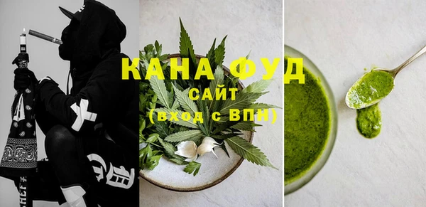 молекула духа Горняк